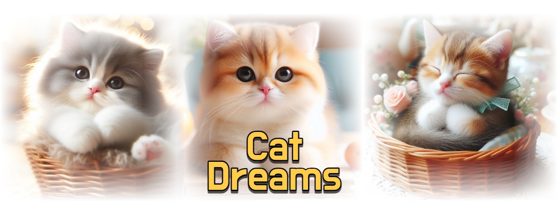 고양이 꿈 Cat Dreams