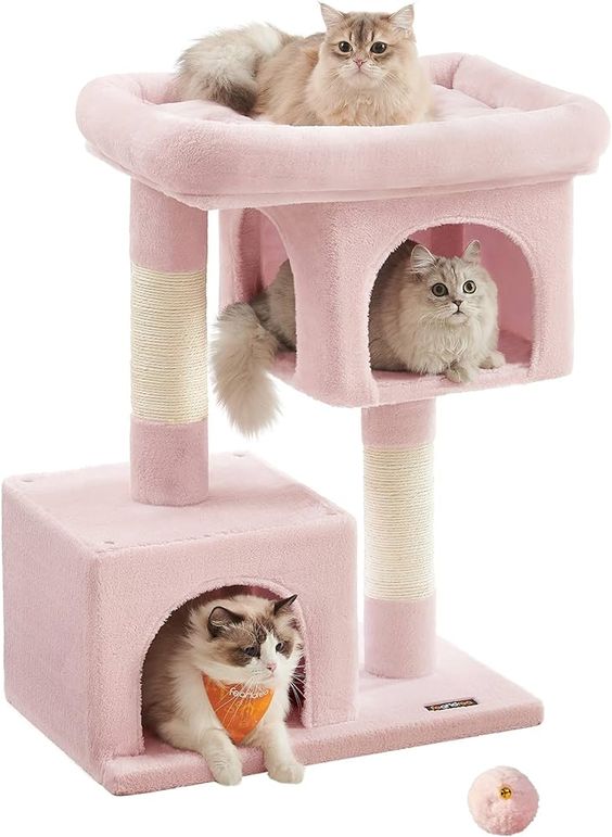고양이 집사를 위한 필수 아이템, 켓타워 활용법 및 선택 팁 Cat Cat Tower