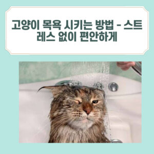 고양이 목욕 시키는 방법 - 스트레스 없이 편안하게