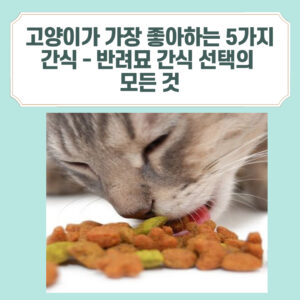 고양이 간식 먹는 사진